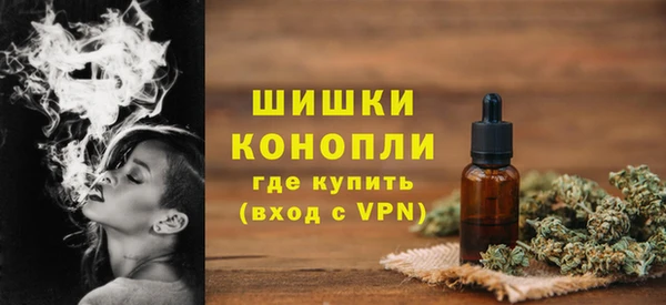 spice Богородск