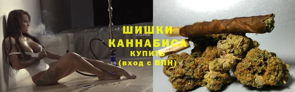 spice Богородск