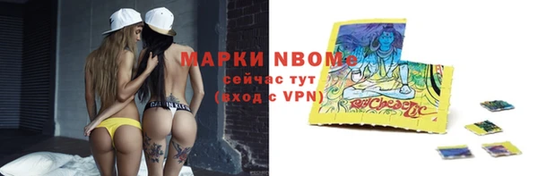 прущий лед Богданович