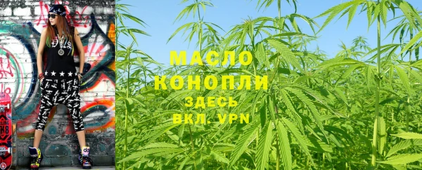 прущий лед Богданович