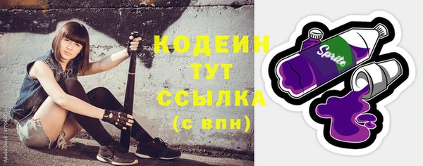 прущий лед Богданович
