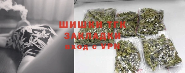 spice Богородск